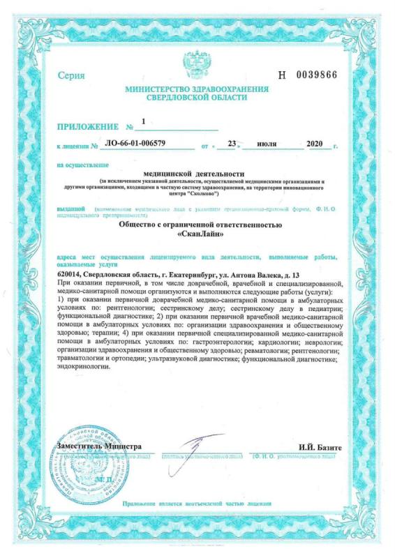 Лицензия на осуществление медицинской деятельности (1 страница)