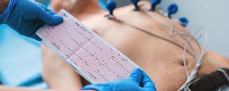 Эко Магнетика